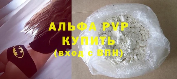 индика Беломорск
