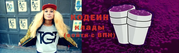 индика Беломорск