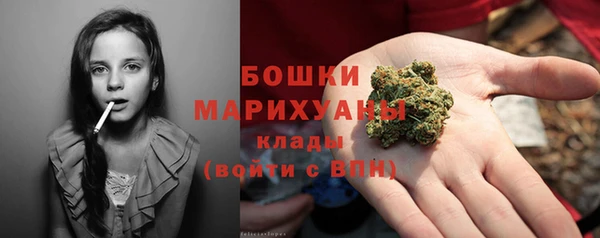 индика Беломорск