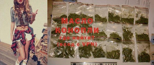 индика Беломорск