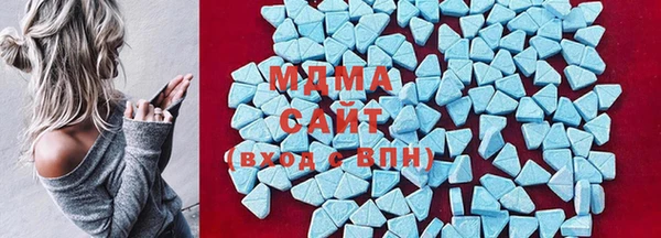 индика Беломорск