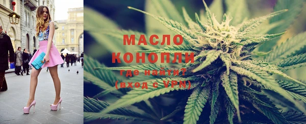 индика Беломорск