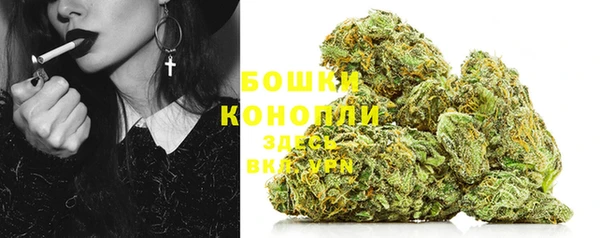 индика Беломорск