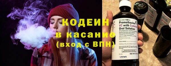 индика Беломорск