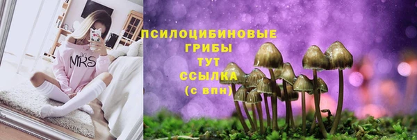 гашишное масло Белокуриха