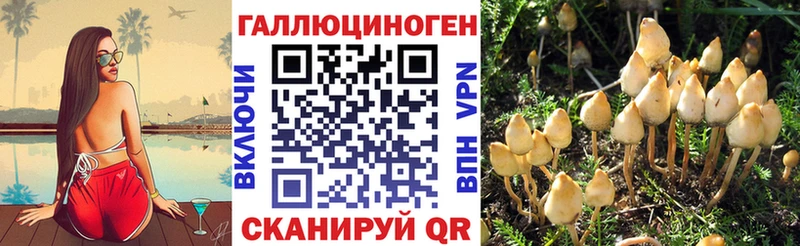 где найти наркотики  Шацк  Галлюциногенные грибы прущие грибы 